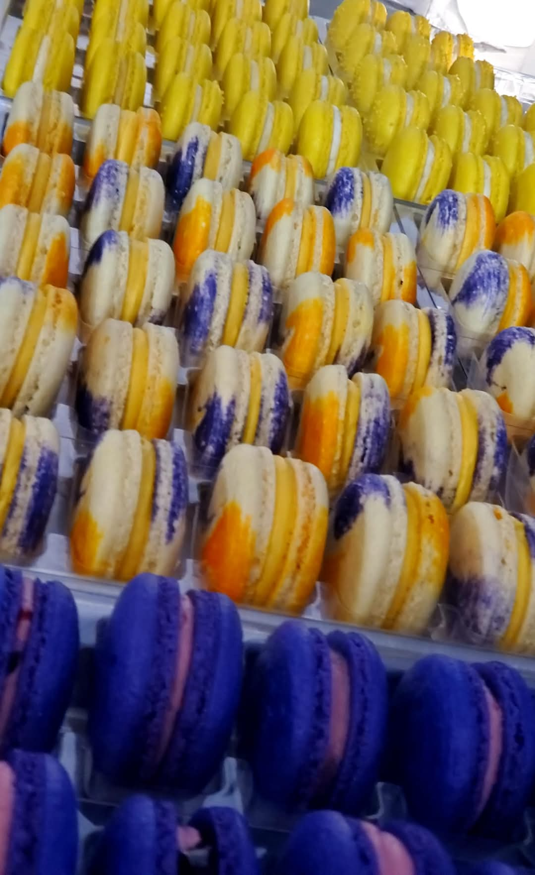 Wholesale Macarons - 50